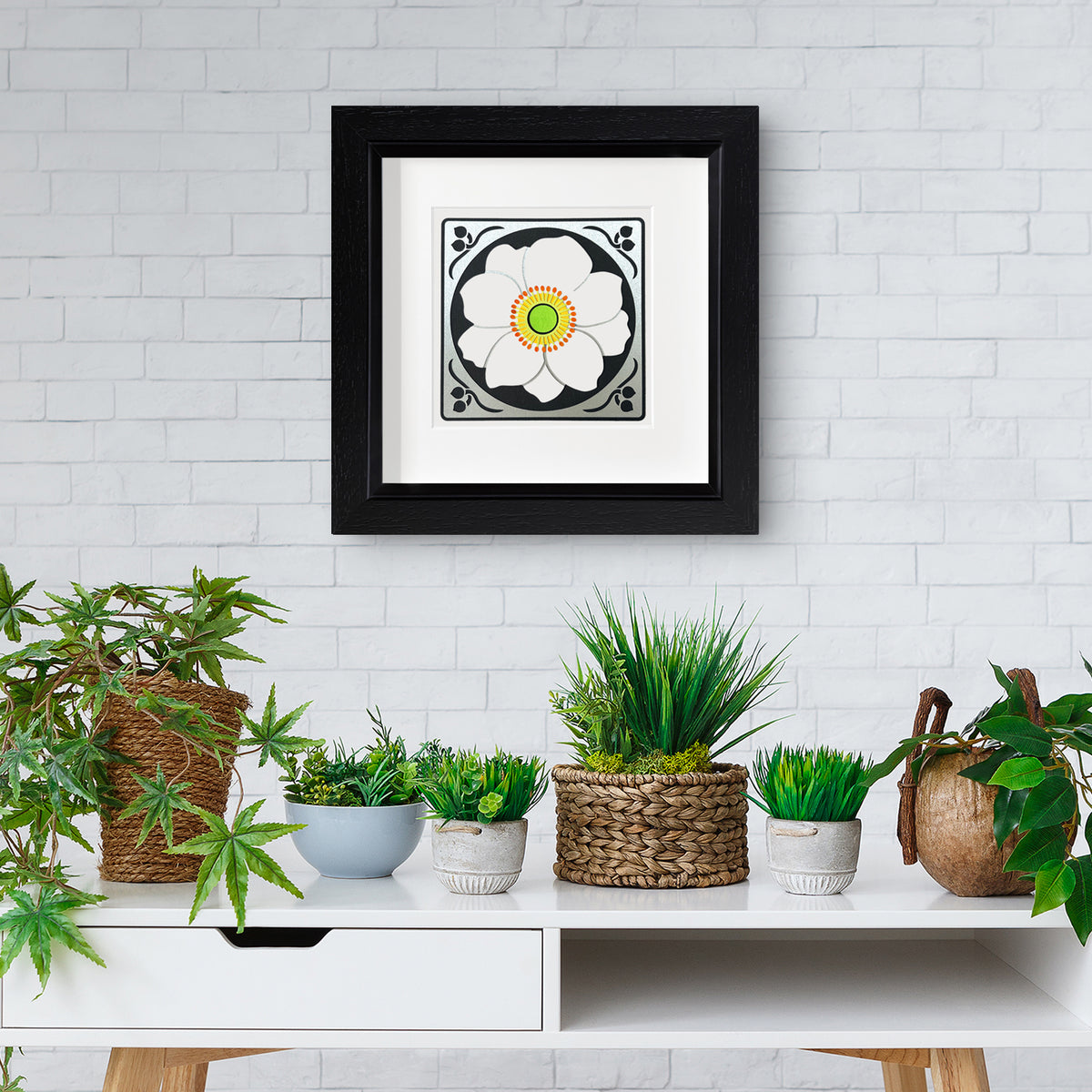 Japanese Anemone
